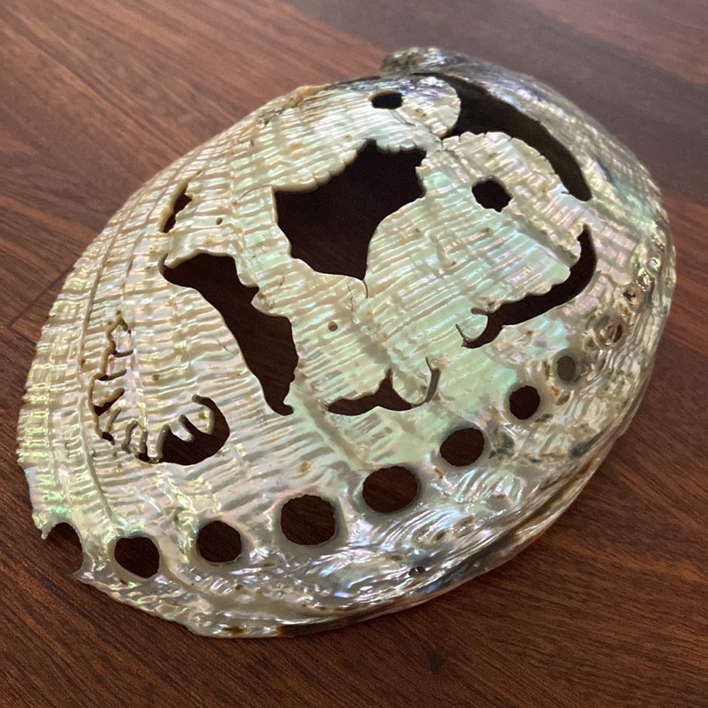 Abalone Shell π¦β€οΈπ¦ - Picture 6 of 10